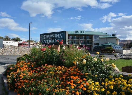 Cedars Inn 1