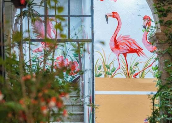 Casa Flamenco San Agustin 1