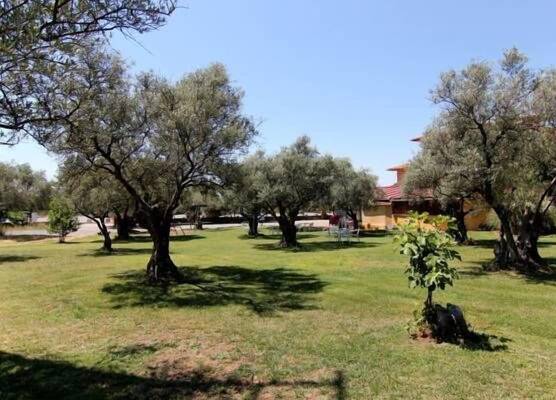 Hotel Rural Hojaranzos 1