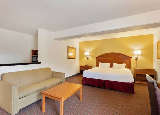 Orlando Palms 1