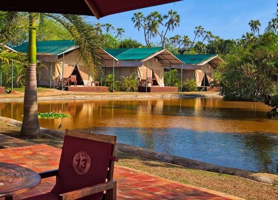 Borabora Luxury Tented Camp 1