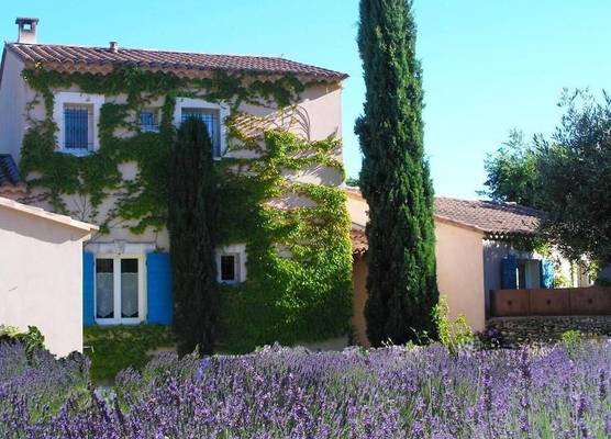Clos des Lavandes - Chambres et Suites de charme climatisées-Luberon 1