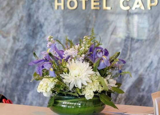 Iris Hotel Cape Cod 1