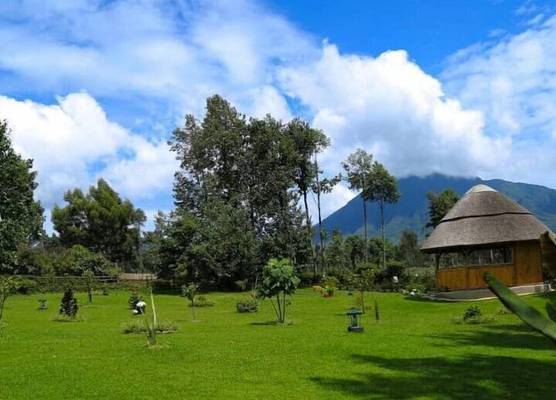 Ingagi Park View Lodge 1