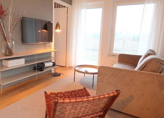 Luxury Business 2 Rooms Apartment up to 3 People By City Living 1