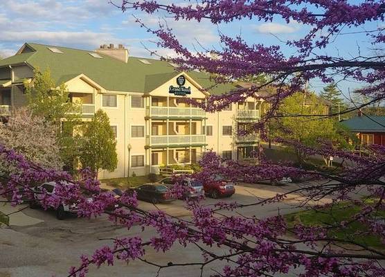 Grand Wood Suites 1