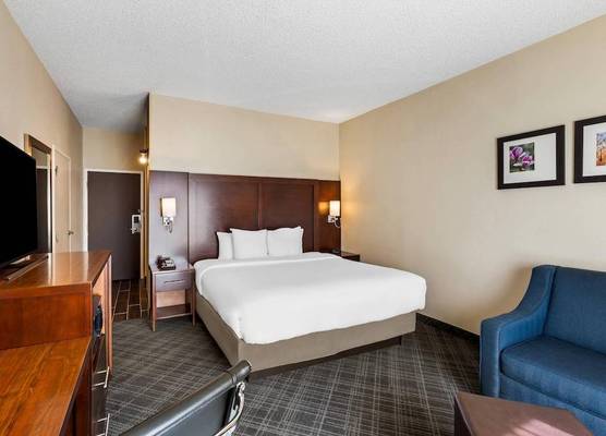 Comfort Inn Roswell-Dunwoody 1