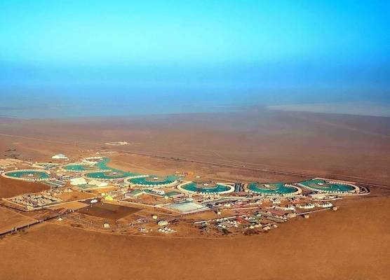 Rann Utsav The Tent City 1