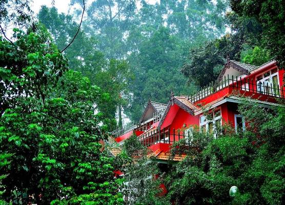 Tea Valley Resort, Munnar 1