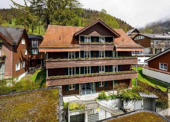 Hirschen Guesthouse - Village Hotel 1