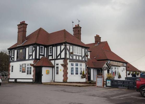 The Oak 1
