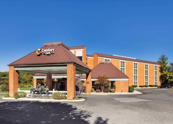 Comfort Inn Lexington Virginia Horse Center 1
