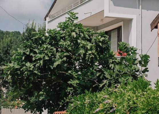Agva Marina House 1
