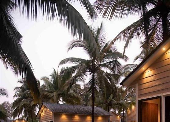 The Woods Homestay 1