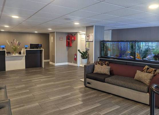 Quality Inn & Suites Northampton - Amherst 1