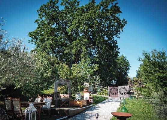 Tenuta Lisetta 1