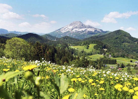 JUFA Hotel Annaberg 1