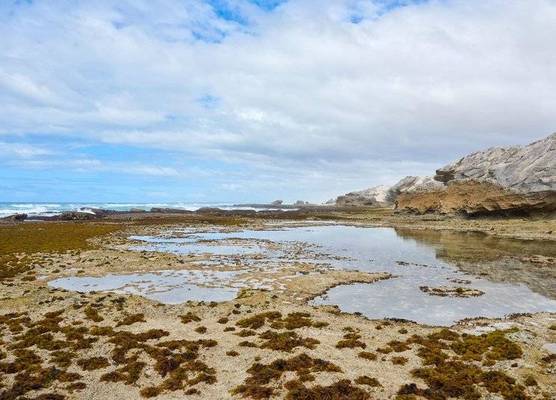 De Hoop Collection 1