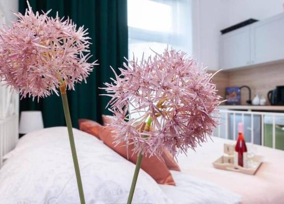 Sydonia Apartments - Mint Apartment 1