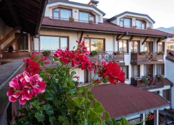 Evelina Palace Hotel 1