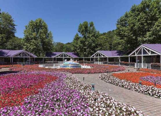 Unique Garden 1