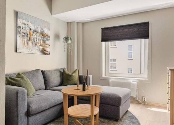 Cozy Studio in Bergen Center 1