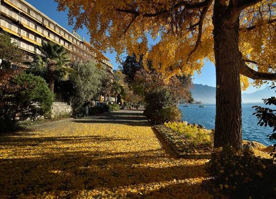 Royal Plaza Montreux 1