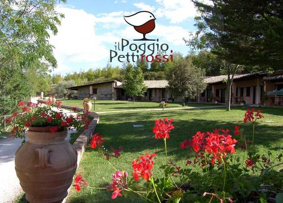 Il Poggio Dei Pettirossi 1