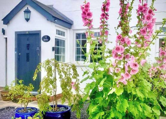 18th Century Cosy Cottage with Stunning Views 1