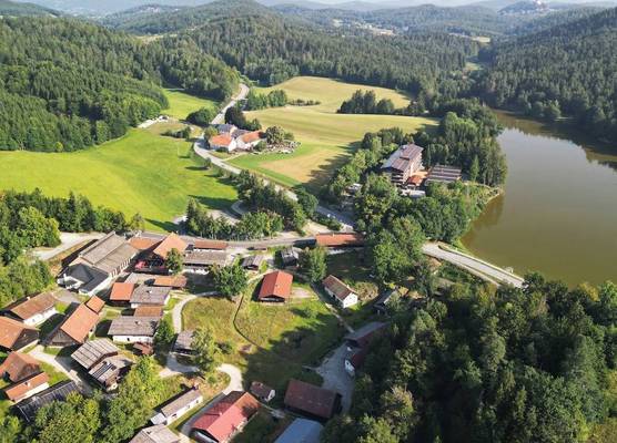 Dreiburgensee 1