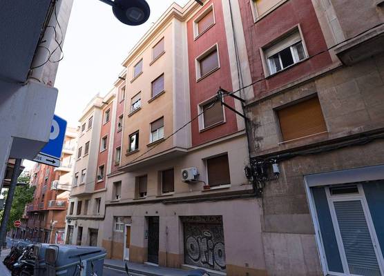 Alcam Torrent 1