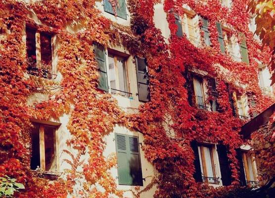 Appart'Hôtel Residence Dizerens 1