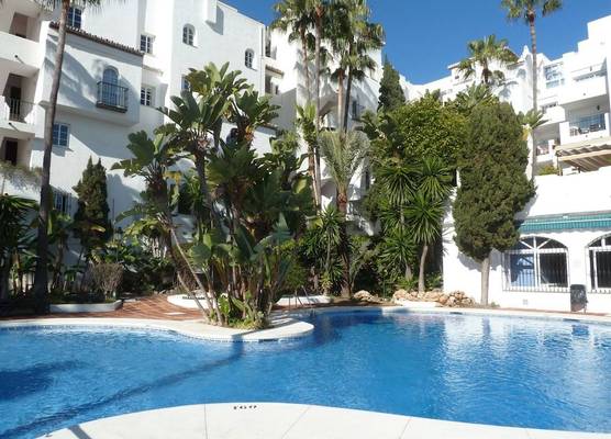 Pueblo Quinta Apartments Beach Pool and Terrace 1