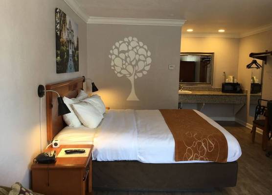 Journey Inn 1