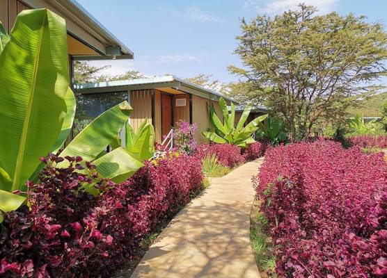 Jambo Mara Safari Lodge 1