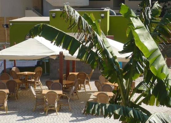 Terraza de Amadores 1