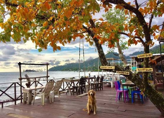Kohchang 7 seaview bungalow 1