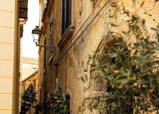 Radici Tropea 1