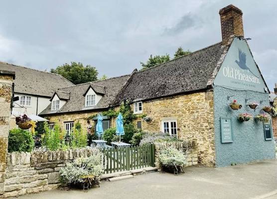 The Old Pheasant 1