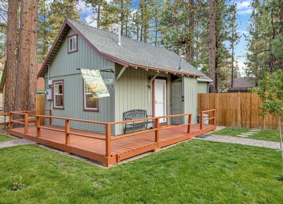 Beary Cozy Cabin #2315 1
