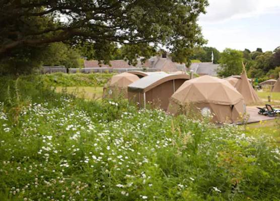 Durrell Wildlife Camp 1