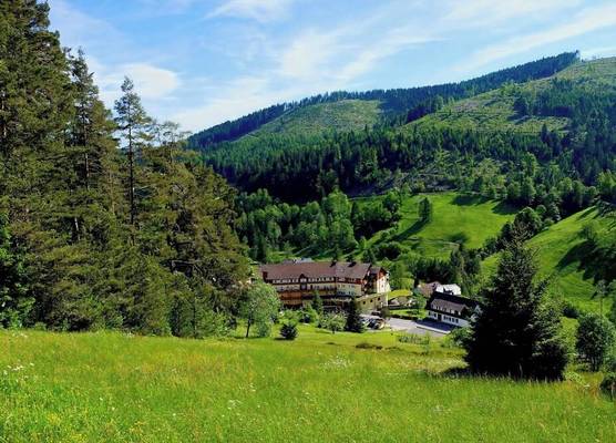 Tanne Tonbach - Wellness & Wohlfühl Hotel 1