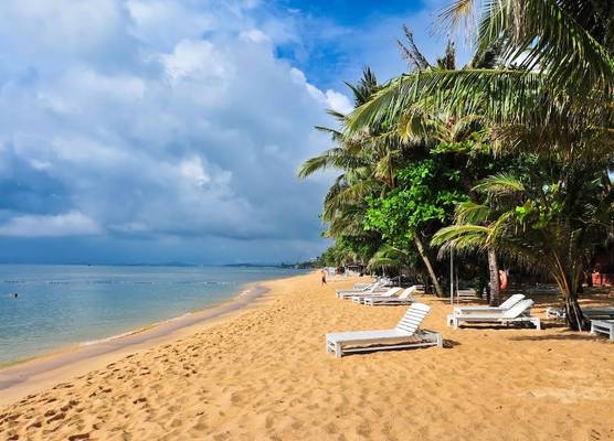 Sea Star Resort 1