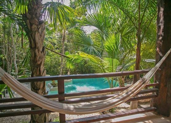 Hotel Buenavista Bacalar Jungle Experience 1