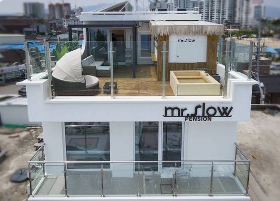 Mr. Slow 1
