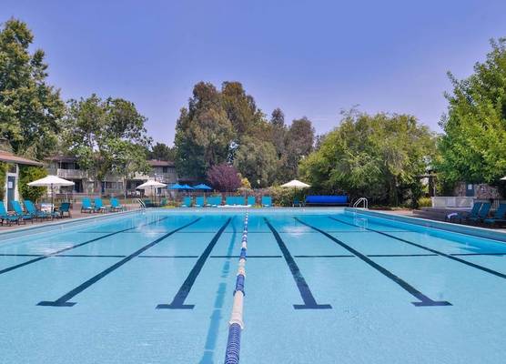 Best Western Corte Madera Inn 1