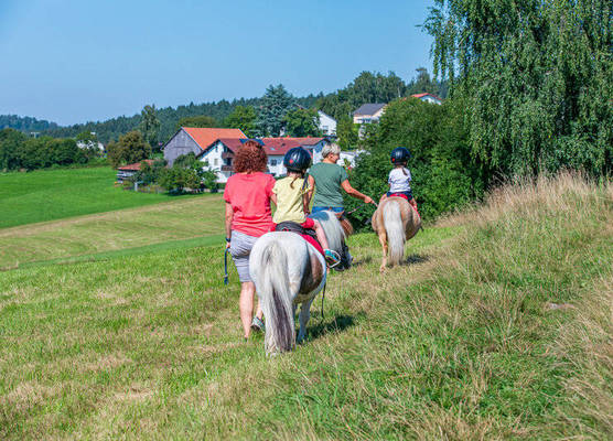 Familienhotel Reiterhof Runding 1