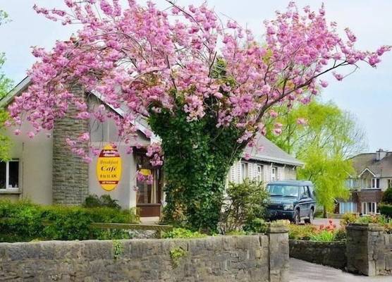 Ach na Sheen Guest House 1