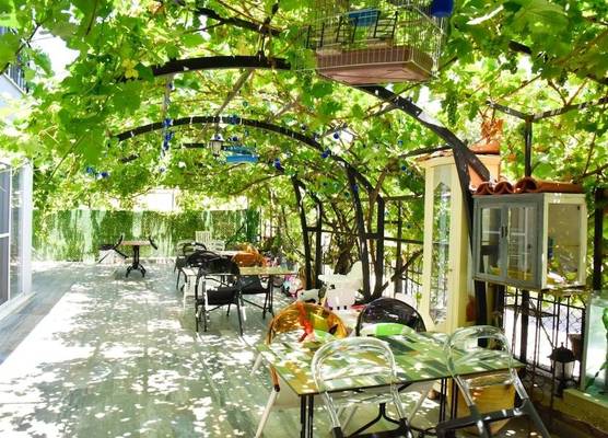 Balim Sultany 1