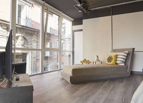 Toledo Loft 1